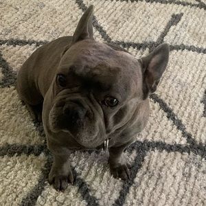 Meet your Posher, Marlene